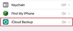 iPhone Backup settings