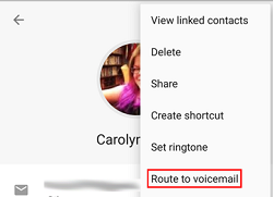 Forward calls to voicemail