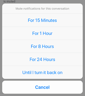 Conversation mute time